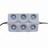 High Voltage 110/220V SMD 2835 Waterproof LED Module (6 LEDs, White Light, 6W,L85xW50xH15mm) for Signage