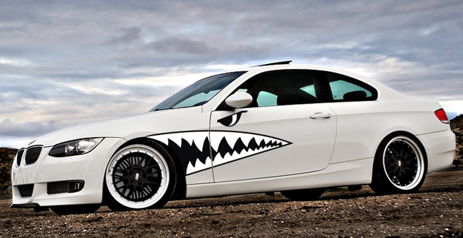 Self-adhesive Vinyl Film application