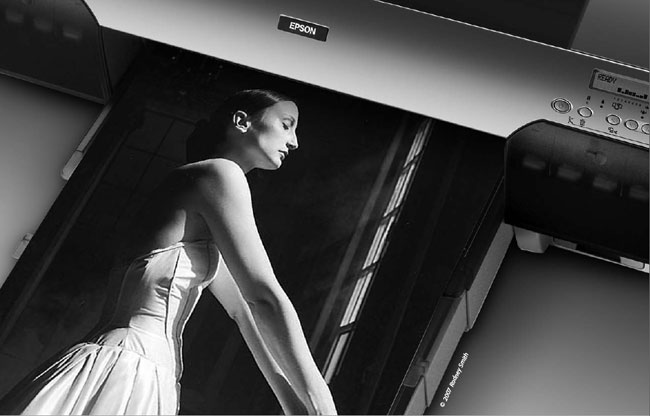 Epson Stylus Pro 4880 Solvent Capping application