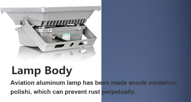 10W LED Flood Light details 2