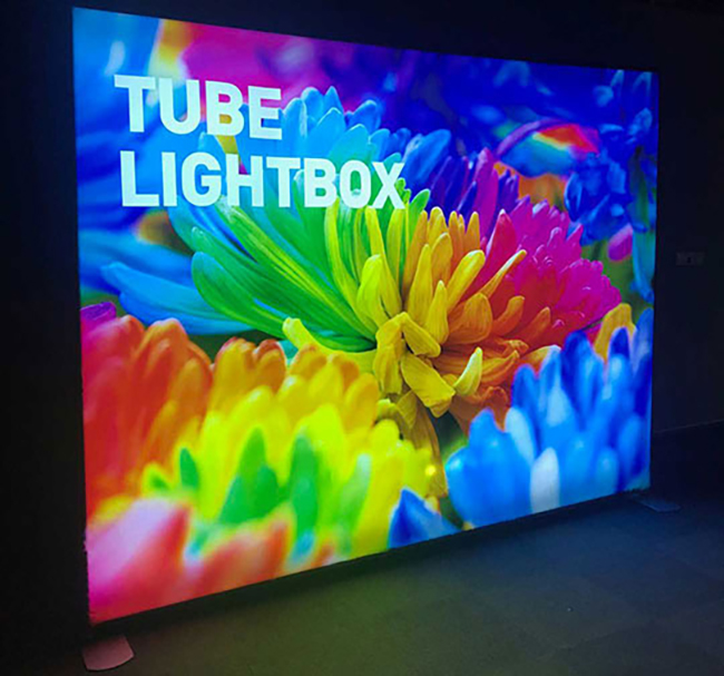 EZ Tube Lightbox
